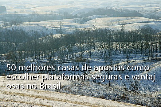 50 melhores casas de apostas como escolher plataformas seguras e vantajosas no Brasil_0118
