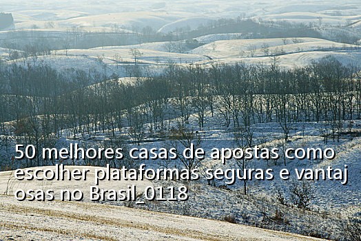 50 melhores casas de apostas como escolher plataformas seguras e vantajosas no Brasil_0118