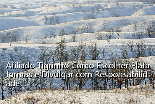 Afiliado Tigrinho Como Escolher Plataformas e Divulgar com Responsabilidade