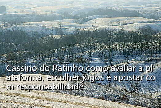 Cassino do Ratinho como avaliar a plataforma, escolher jogos e apostar com responsabilidade