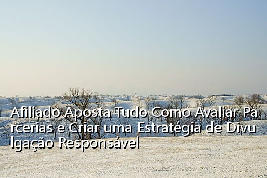 Afiliado Aposta Tudo Como Avaliar Parcerias e Criar uma Estratégia de Divulgação Responsável